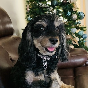 Fundraising Page: Susan Truscott